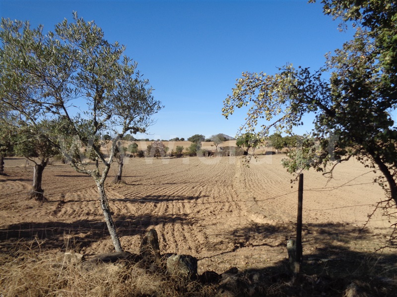 Terreno  Idanha-a-Nova, Alcafozes - 1128121 - 7