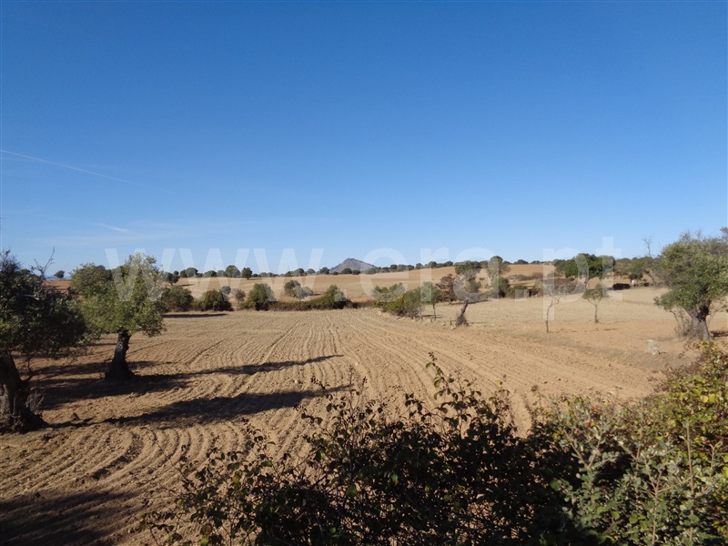 Terreno  Idanha-a-Nova, Alcafozes - 1128121 - 10