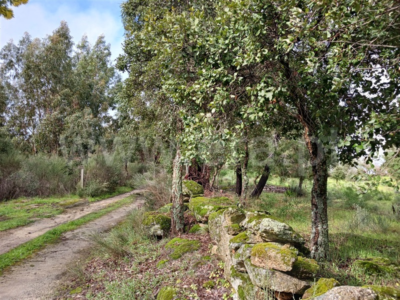 Quintinha  Idanha-a-Nova, Aldeia de Santa Margarida - 1474572 - 1