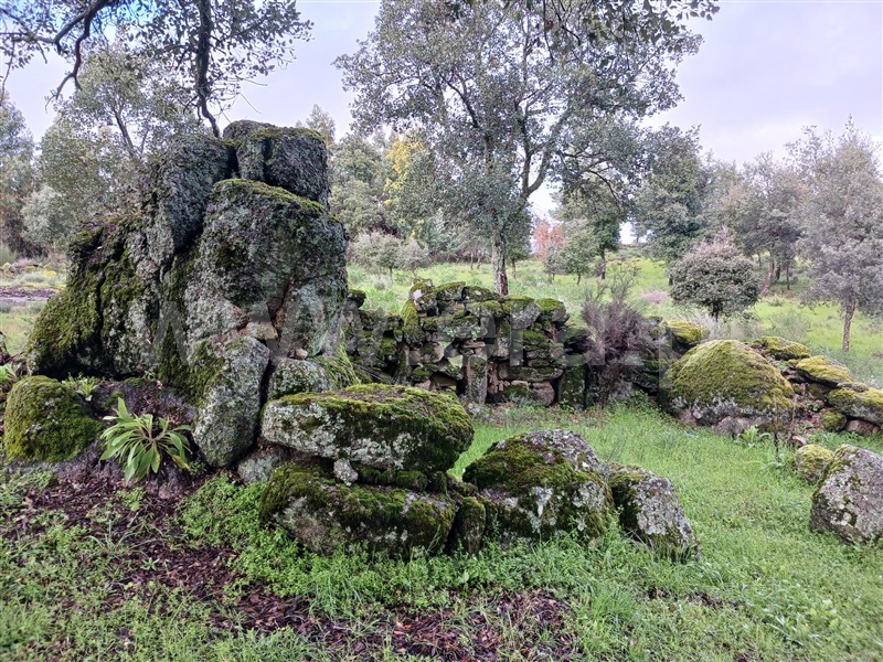 Quintinha  Idanha-a-Nova, Aldeia de Santa Margarida - 1474572 - 2