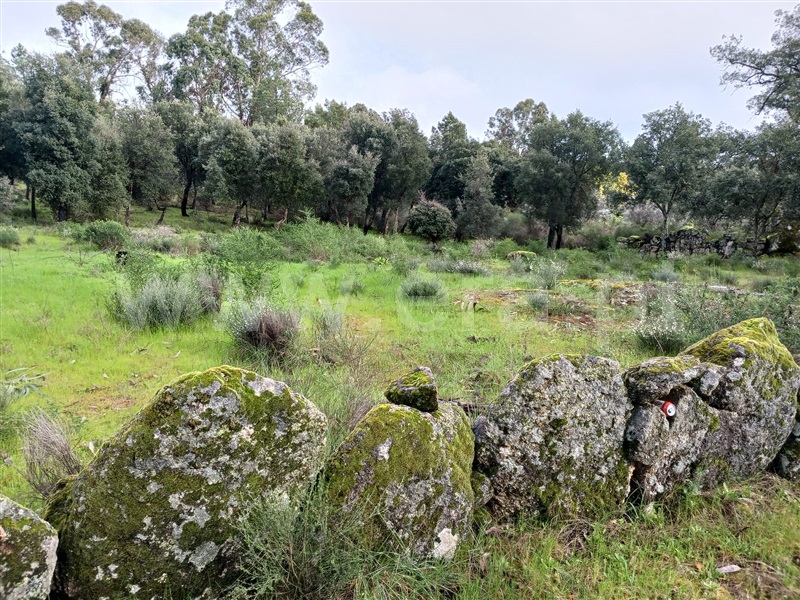 Quintinha  Idanha-a-Nova, Aldeia de Santa Margarida - 1474572 - 8