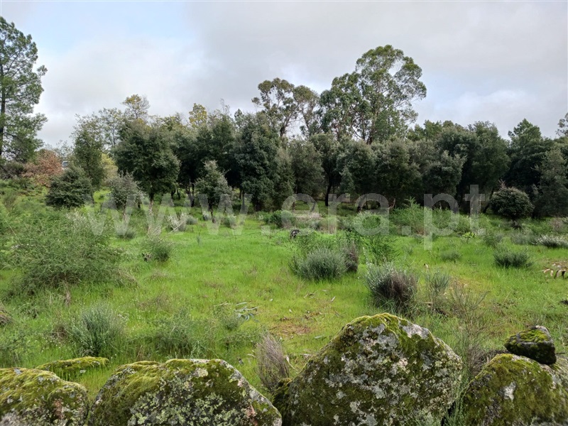 Quintinha  Idanha-a-Nova, Aldeia de Santa Margarida - 1474572 - 9