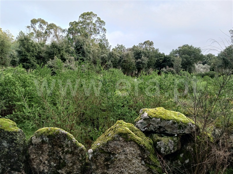 Quintinha  Idanha-a-Nova, Aldeia de Santa Margarida - 1474572 - 10