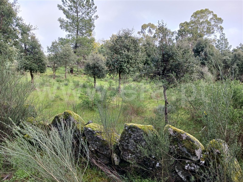 Quintinha  Idanha-a-Nova, Aldeia de Santa Margarida - 1474572 - 11