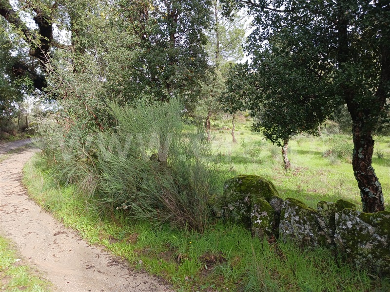 Quintinha  Idanha-a-Nova, Aldeia de Santa Margarida - 1474572 - 12