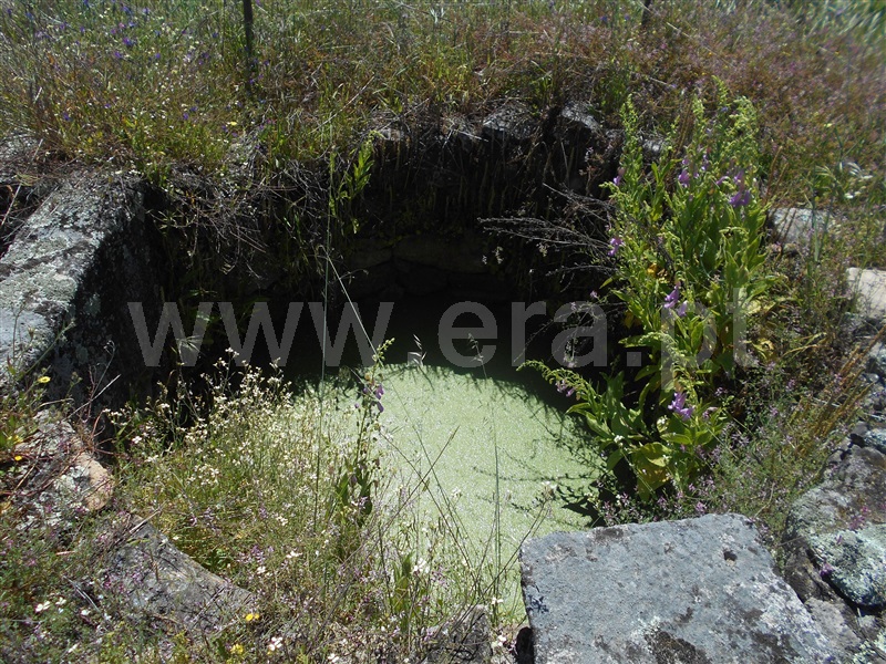 Terreno  Idanha-a-Nova, Idanha-a-Nova - 1005855 - 4