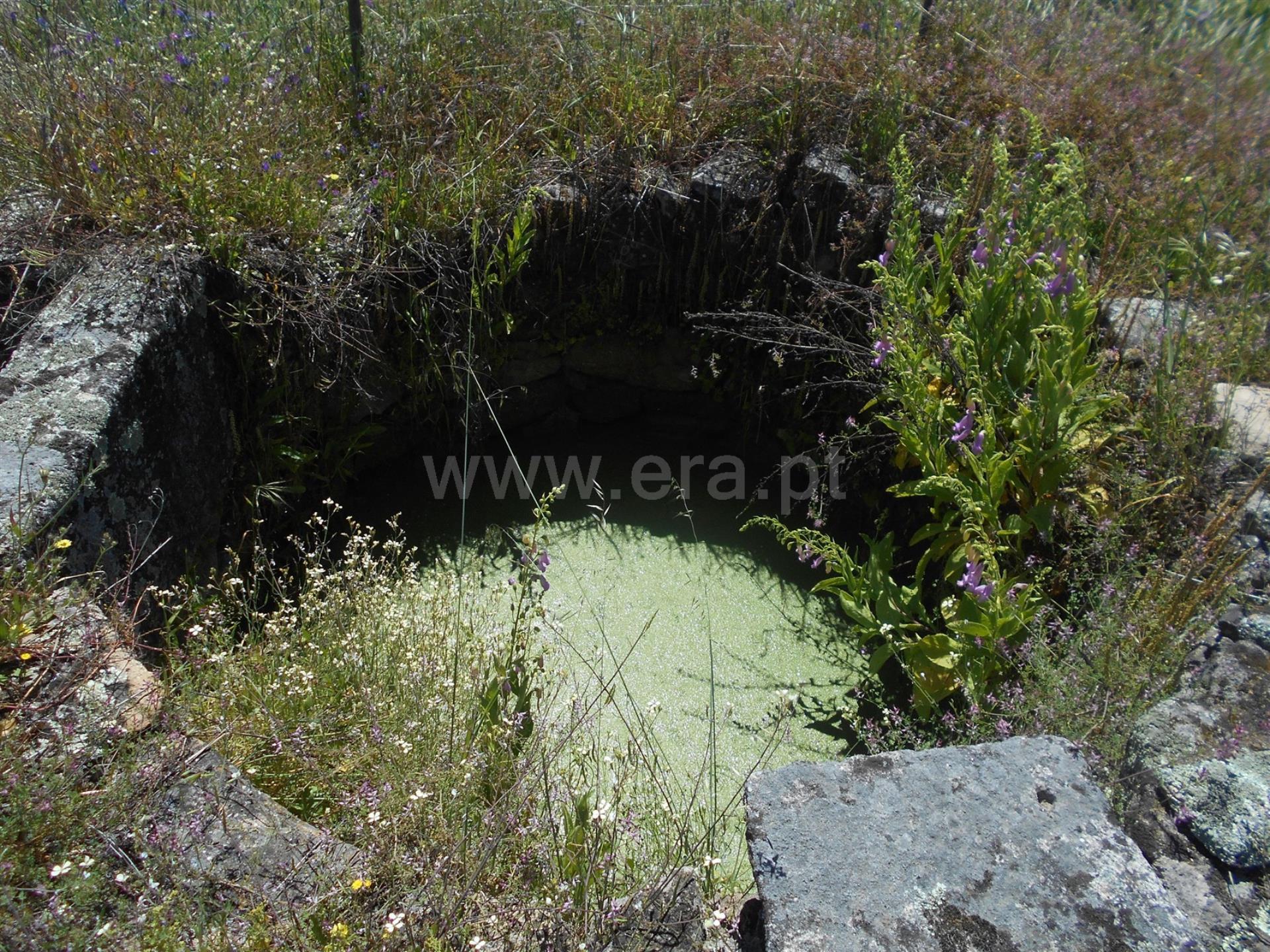 Terreno em Idanha-a-Nova