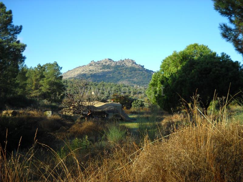 Terreno / Idanha-a-Nova, Monsanto