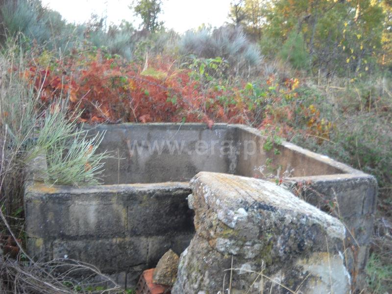 Terreno  Idanha-a-Nova, Monsanto - 774011 - 12