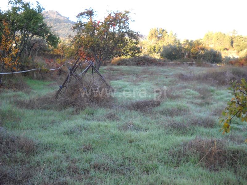 Terreno  Idanha-a-Nova, Monsanto - 774011 - 2