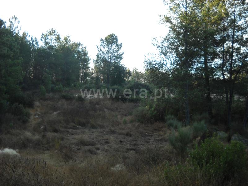 Terreno  Idanha-a-Nova, Monsanto - 774011 - 6