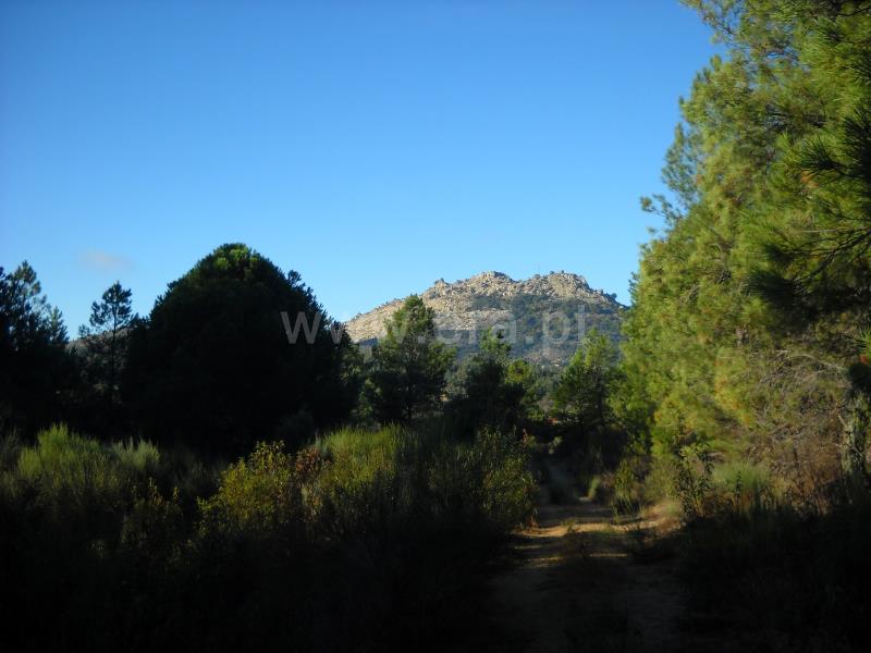 Terreno  Idanha-a-Nova, Monsanto - 774011 - 7