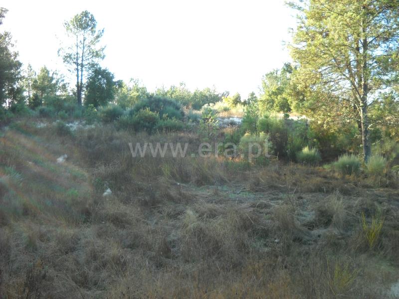 Terreno  Idanha-a-Nova, Monsanto - 774011 - 17