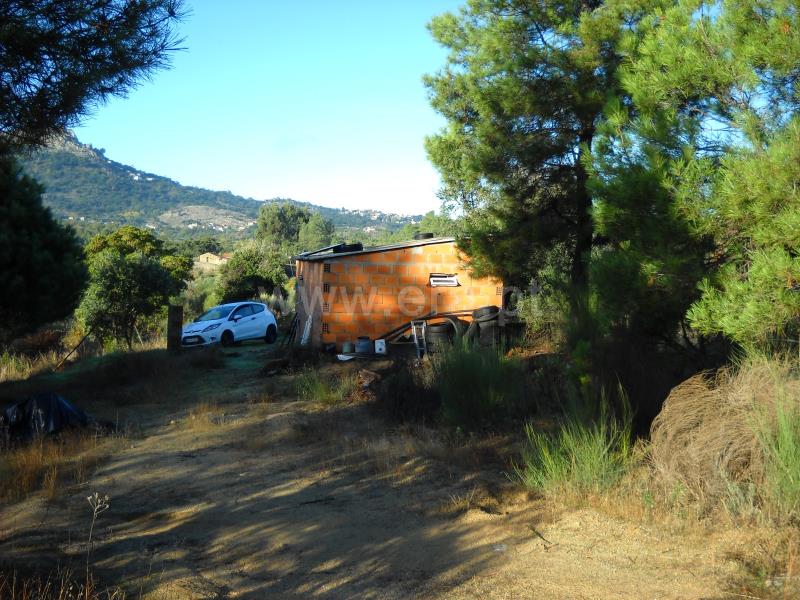 Terreno  Idanha-a-Nova, Monsanto - 774011 - 9