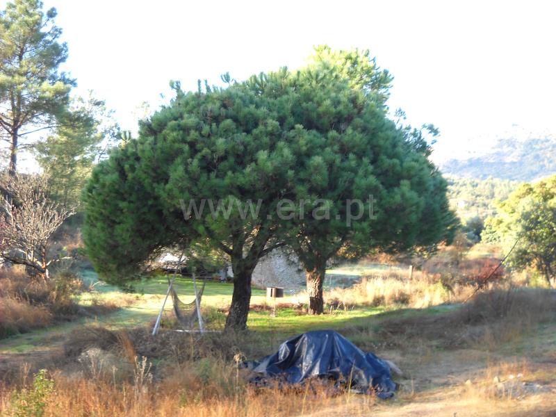 Terreno  Idanha-a-Nova, Monsanto - 774011 - 11