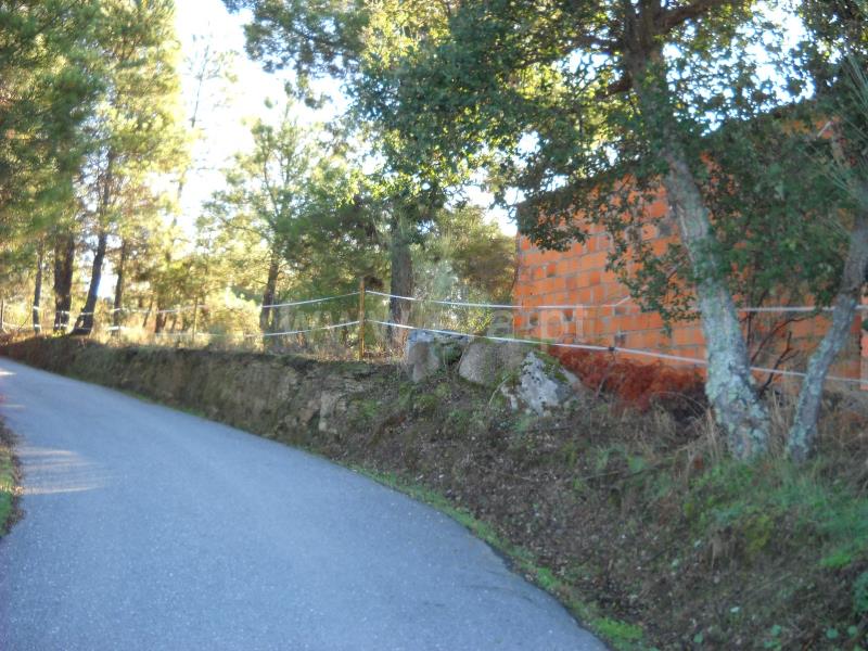 Terreno  Idanha-a-Nova, Monsanto - 774011 - 18