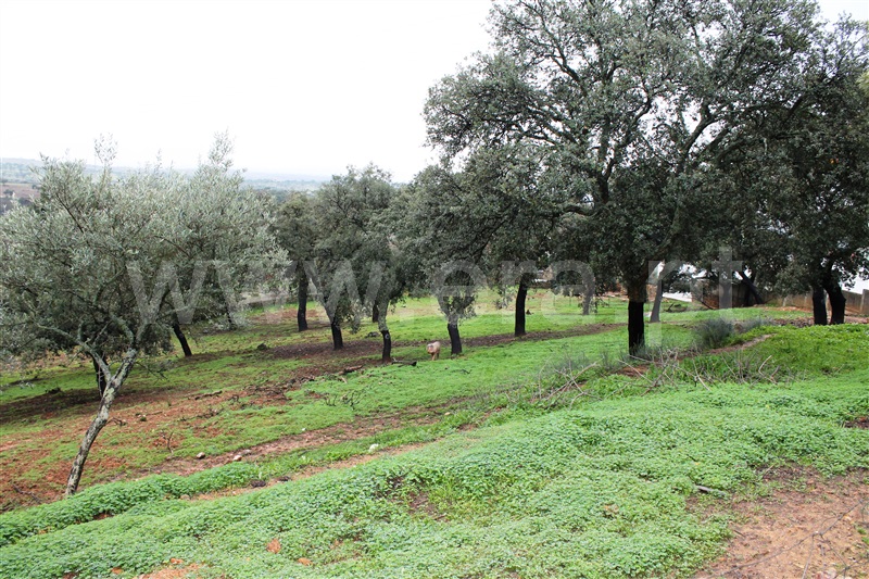 Terreno / Idanha-a-Nova, Penha Garcia