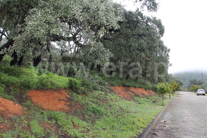 Terreno Urbano  Idanha-a-Nova, Penha Garcia - 1287954 - 3