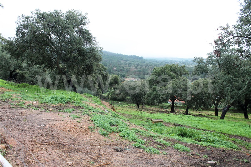 Terreno Urbano  Idanha-a-Nova, Penha Garcia - 1287954 - 5