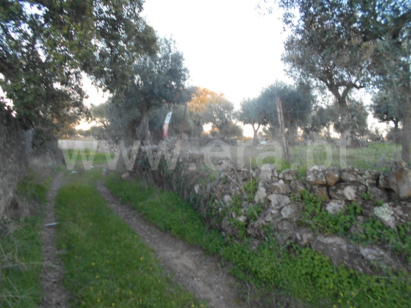 Terreno  Idanha-a-Nova, Zebreira - 1218891 - 5