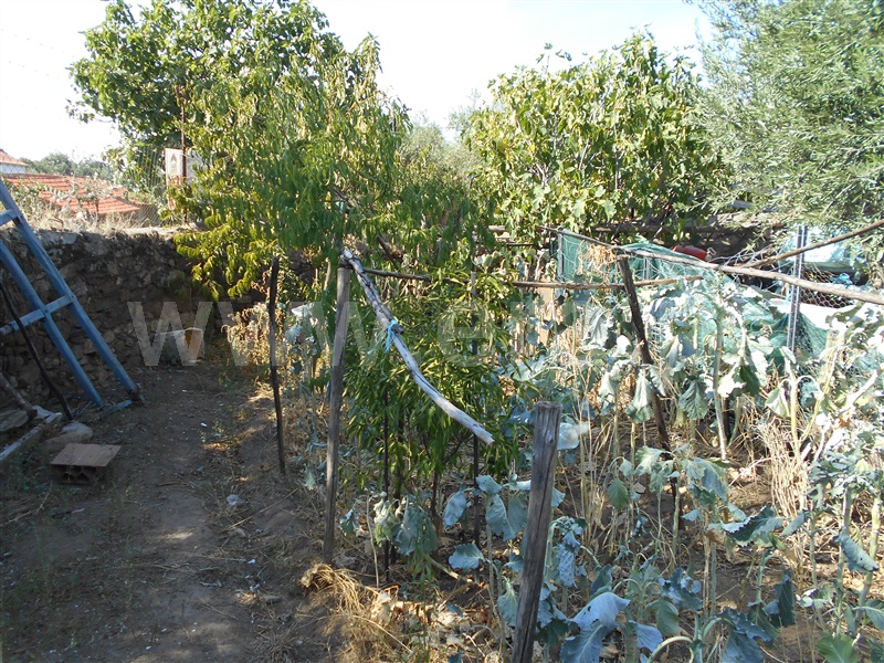 Terreno  Idanha-a-Nova, Zebreira - 944382 - 2