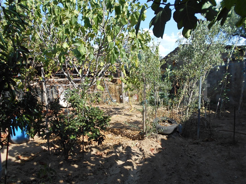 Terreno  Idanha-a-Nova, Zebreira - 944382 - 3