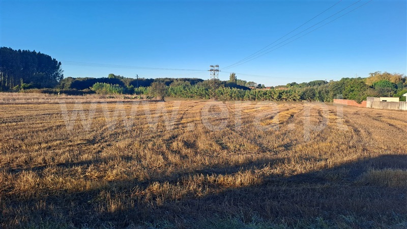 Terreno  Ílhavo, Centro - 1508568 - 5