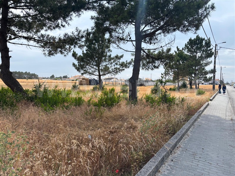Terreno / Ílhavo, Gafanha do Carmo