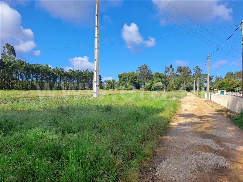 Terreno / Ílhavo, Ílhavo (São Salvador)