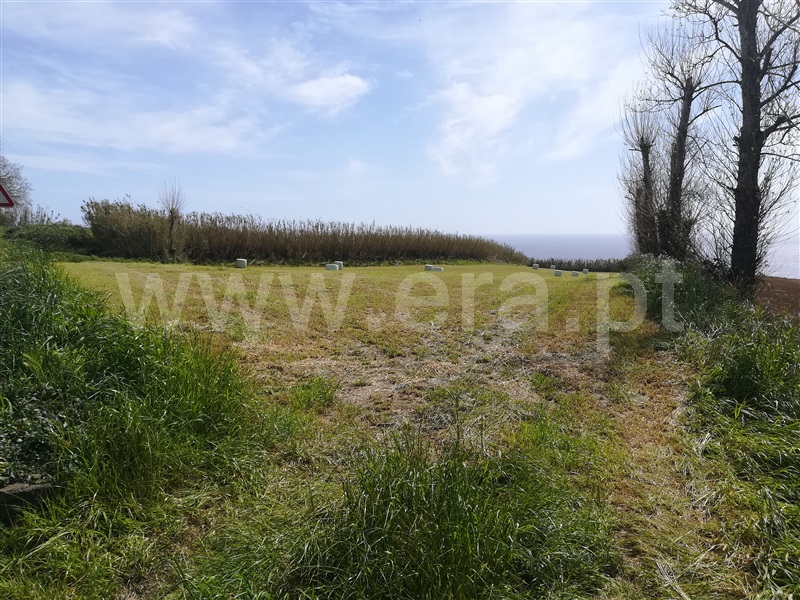 Terreno  Lagoa (São Miguel), Lagoa - 1004916 - 2