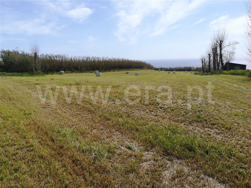 Terreno  Lagoa (São Miguel), Lagoa - 1004916 - 3
