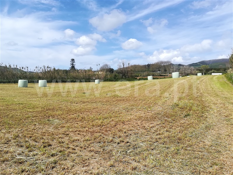 Terreno  Lagoa (São Miguel), Lagoa - 1004916 - 4