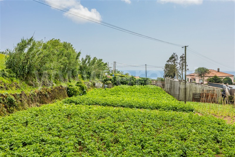 Terreno  Lagoa (São Miguel), Lagoa (Santa Cruz) - 1487603 - 8