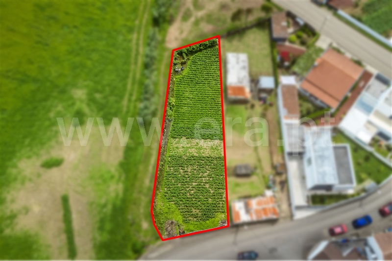 Terreno  Lagoa (São Miguel), Lagoa (Santa Cruz) - 1487603 - 11
