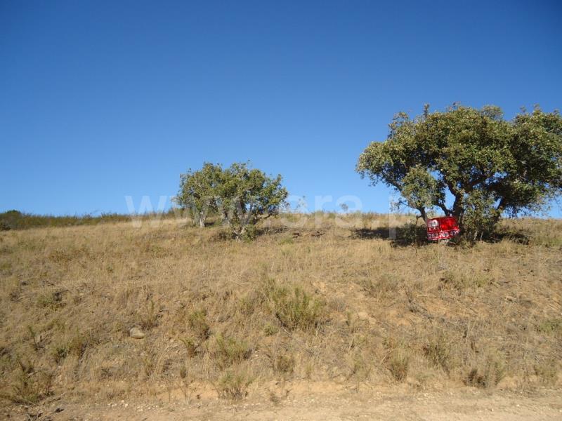 Terreno / Lagos, Barão São João