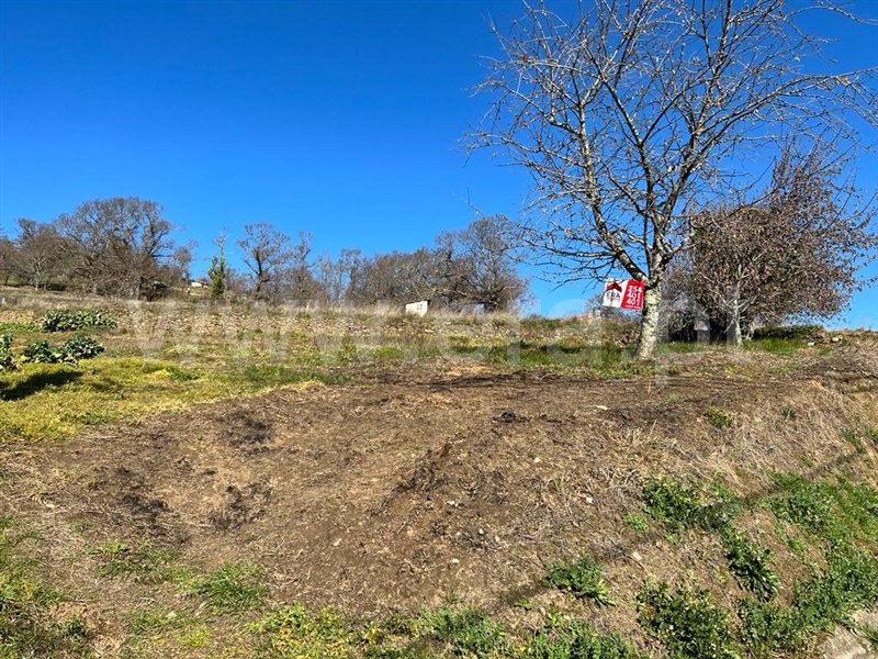 Terreno / Lamego, Avões