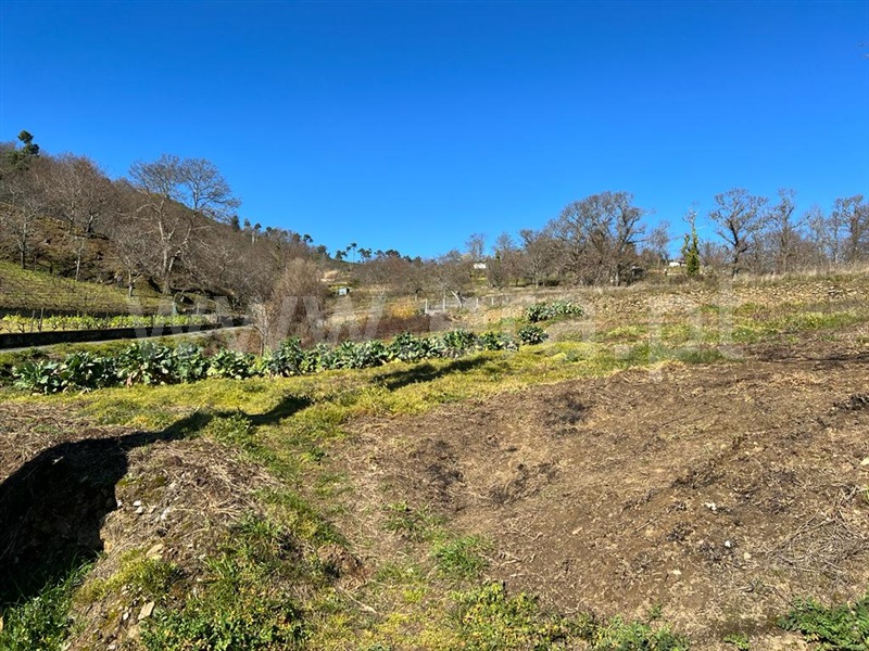 Terreno  Lamego, Avões - 1231533 - 2
