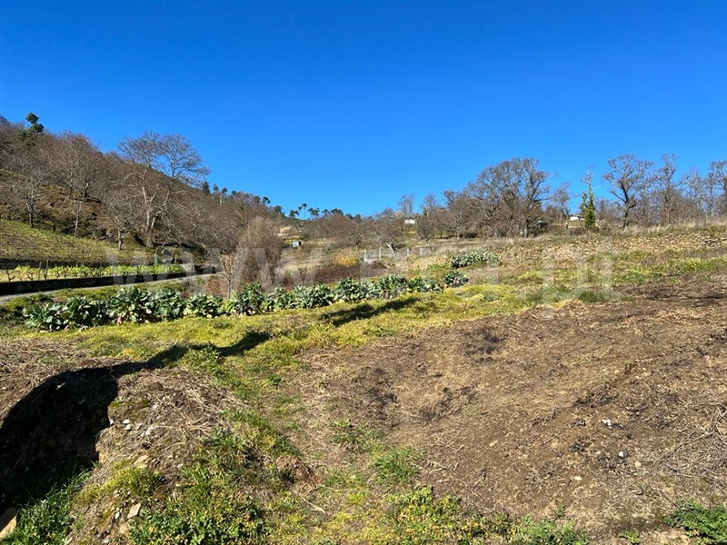 Terreno  Lamego, Avões - 1231533 - 3