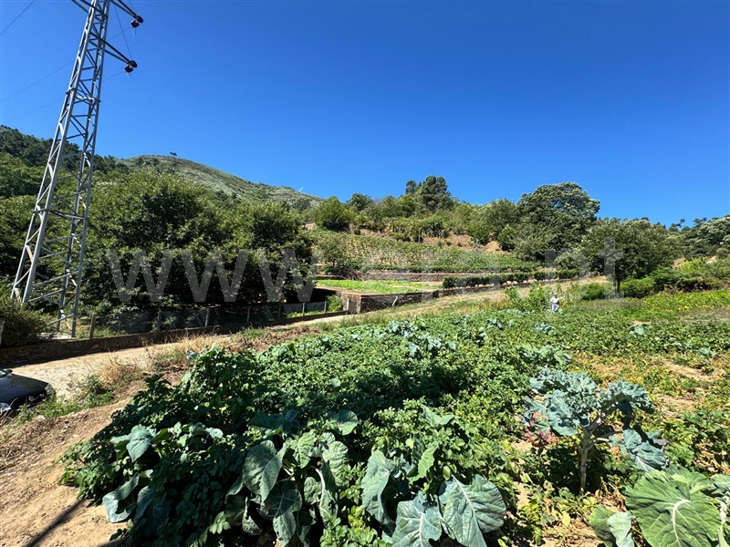 Terreno  Lamego, Avões - 1231533 - 6