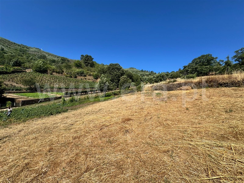 Terreno  Lamego, Avões - 1231533 - 7