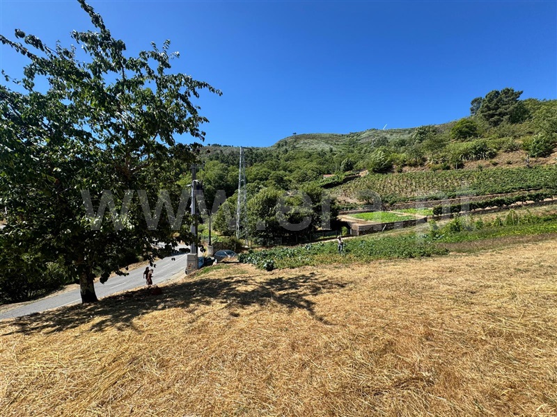 Terreno  Lamego, Avões - 1231533 - 8