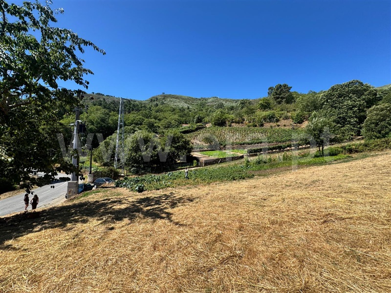 Terreno  Lamego, Avões - 1231533 - 9