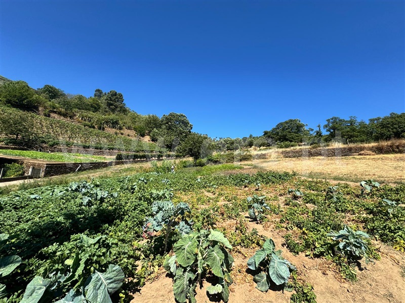 Terreno  Lamego, Avões - 1231533 - 10