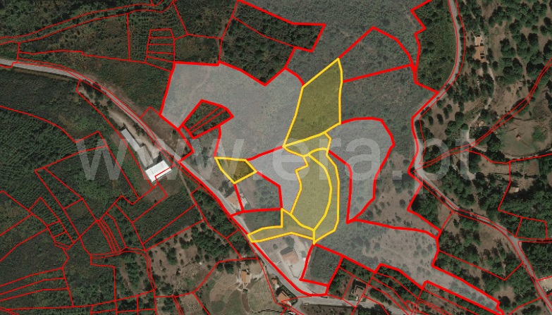 Terreno / Lamego, Avões