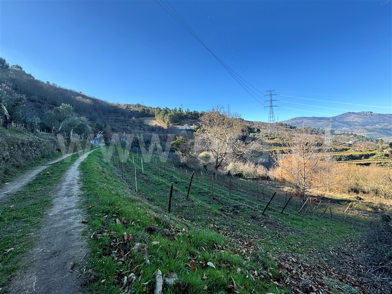 Terreno  Lamego, Cambres - 1459895 - 3