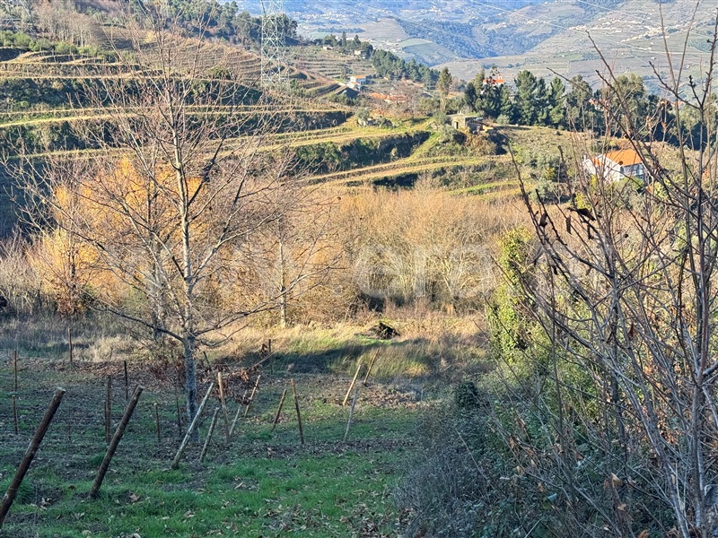 Terreno  Lamego, Cambres - 1459895 - 4