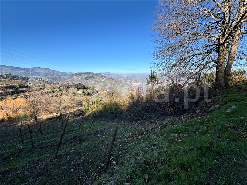 Terreno  Lamego, Cambres - 1459895 - 5