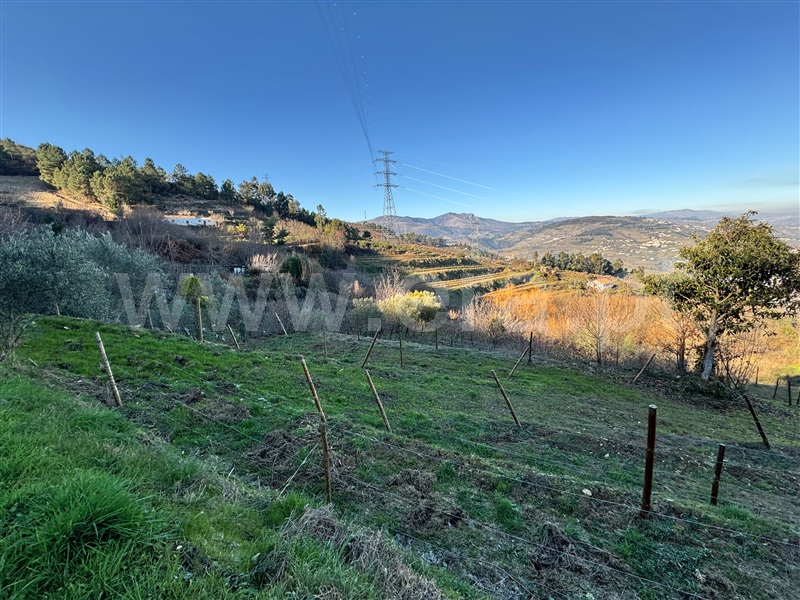 Terreno  Lamego, Cambres - 1459895 - 6