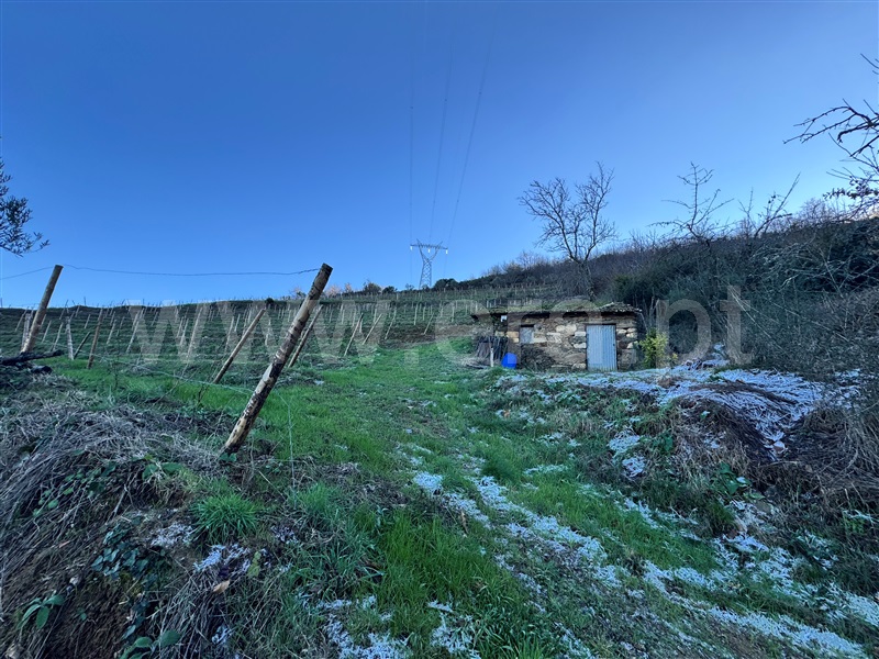 Terreno  Lamego, Cambres - 1459895 - 7