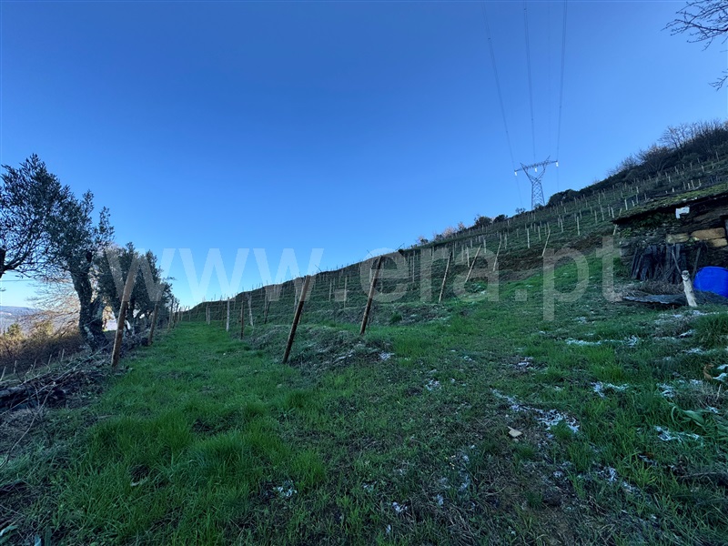 Terreno  Lamego, Cambres - 1459895 - 8